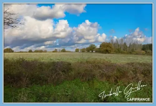 Saint-Saturnin Cher terrein foto 7136665