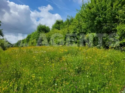 Sedan Ardennes Grundstück Bild 7138406