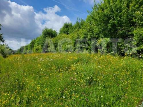 Sedan Ardennes terreno foto 7141742