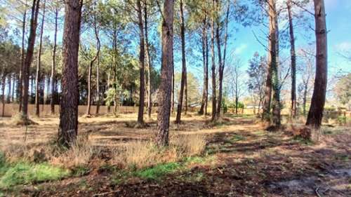 Seignosse Landes terrein foto 7144617