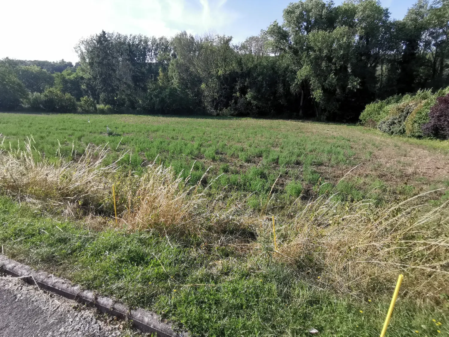  kaufen Grundstück Sermaise Essonne 3