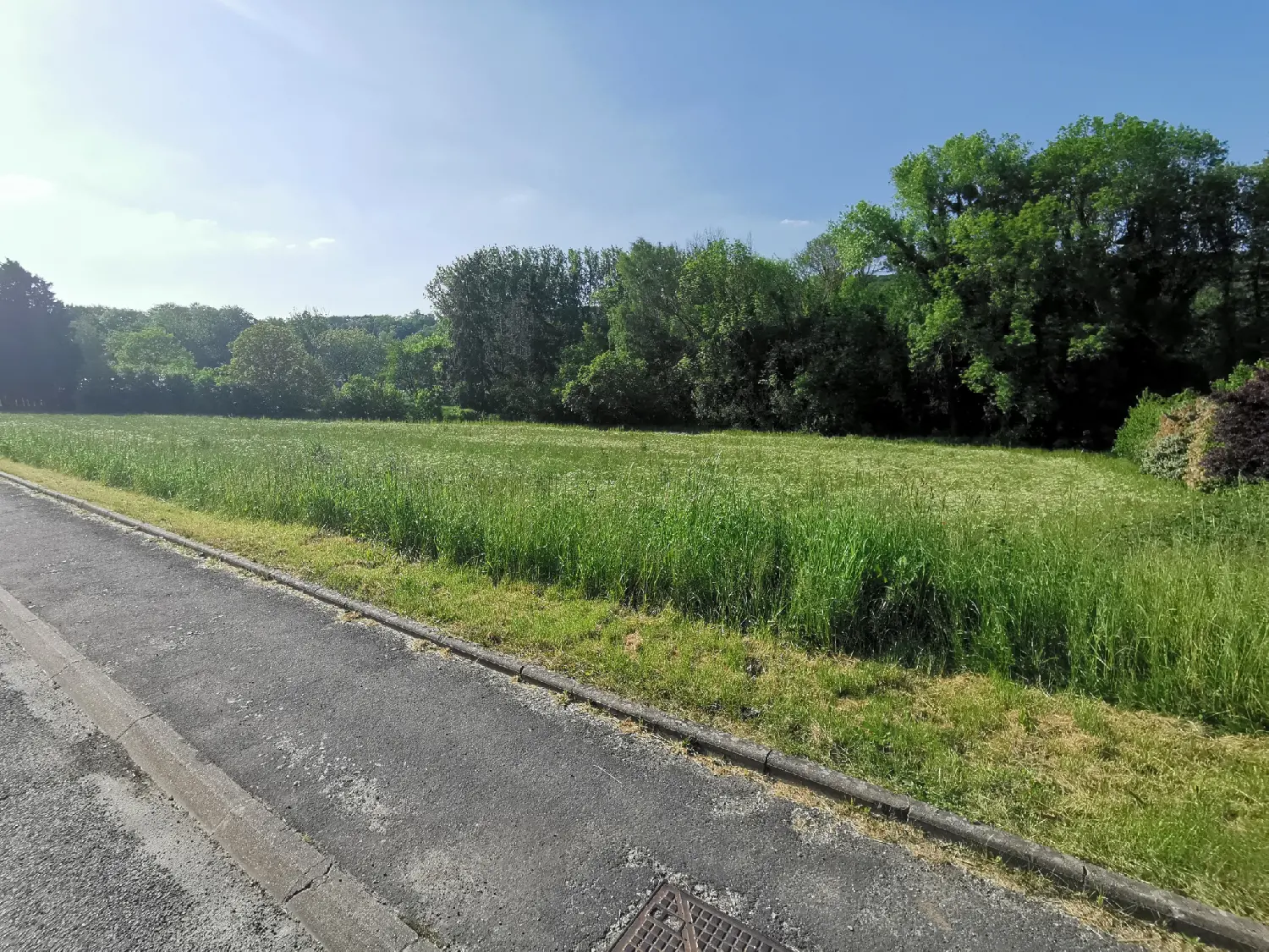  kaufen Grundstück Sermaise Essonne 4