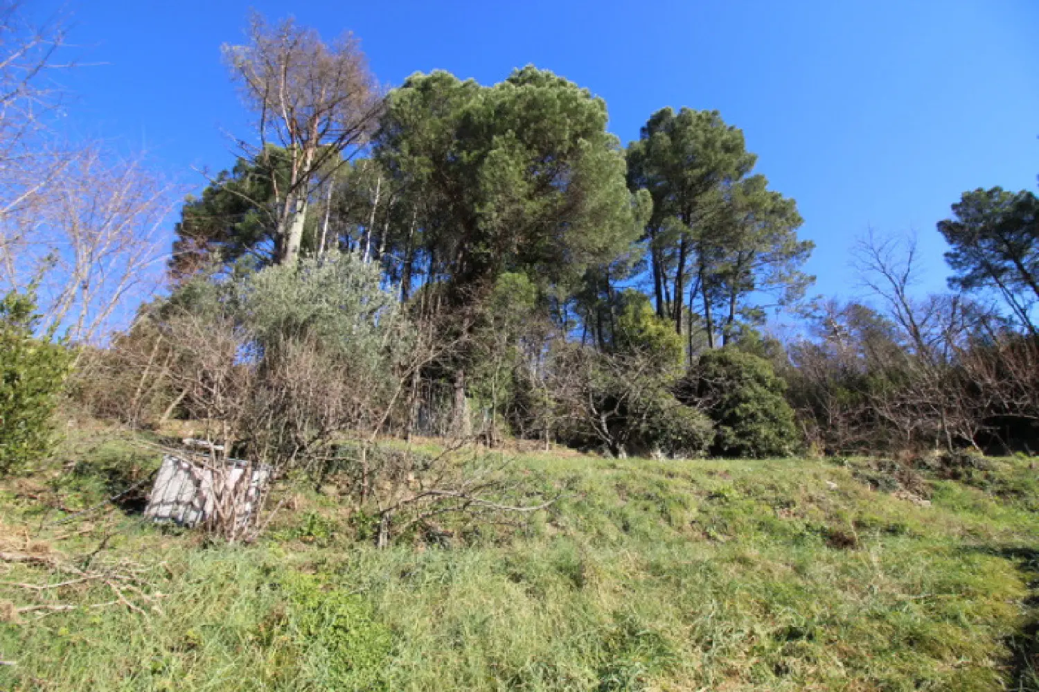 for sale terrain Sumène Gard 2