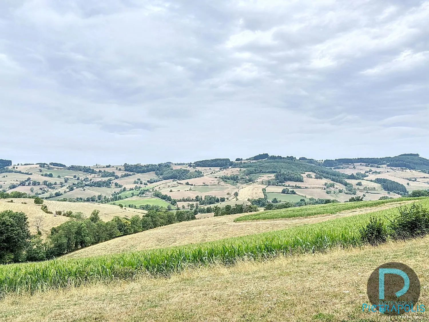  for sale terrain Thizy Rhône 1