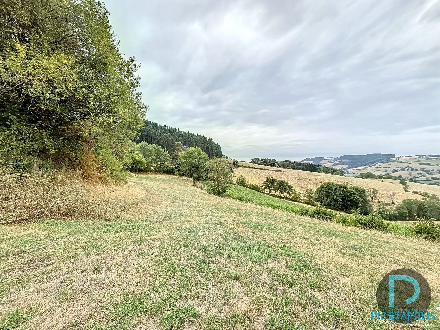  for sale terrain Thizy Rhône 2