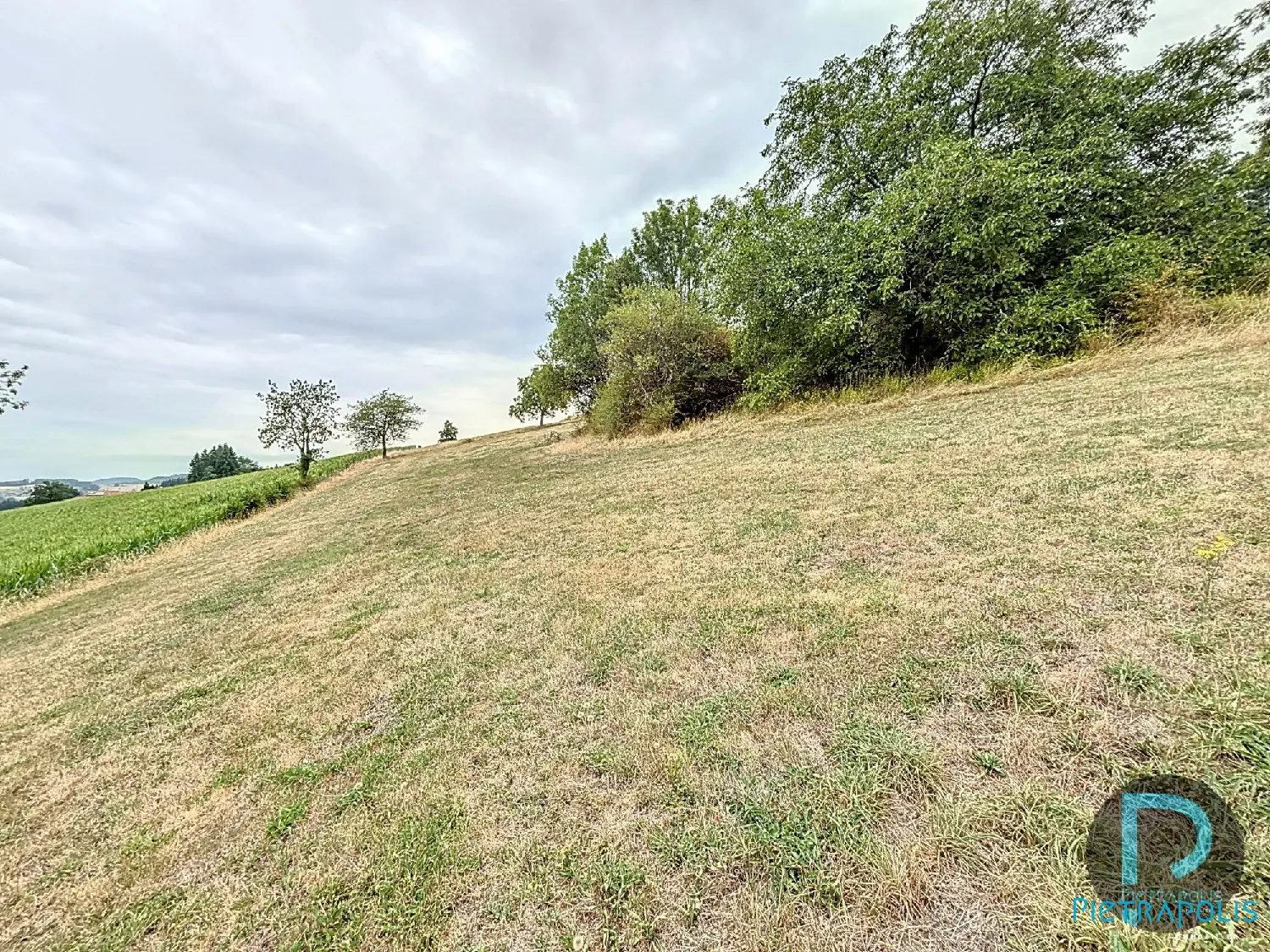  for sale terrain Thizy Rhône 4