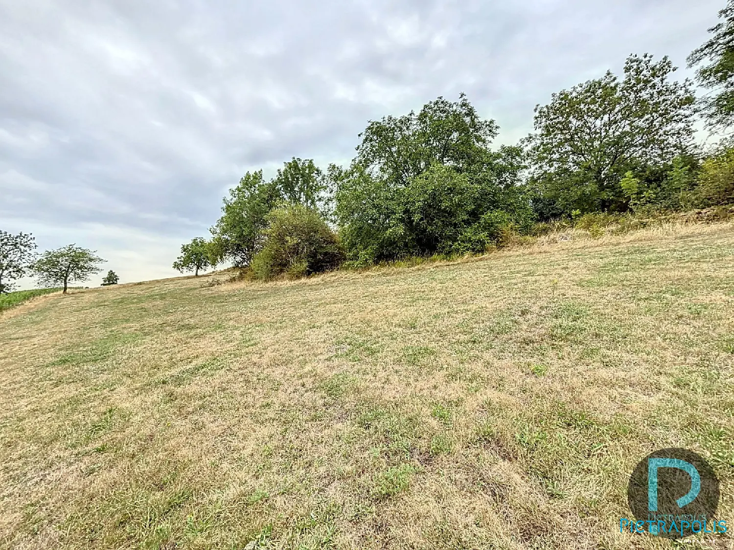  for sale terrain Thizy Rhône 5