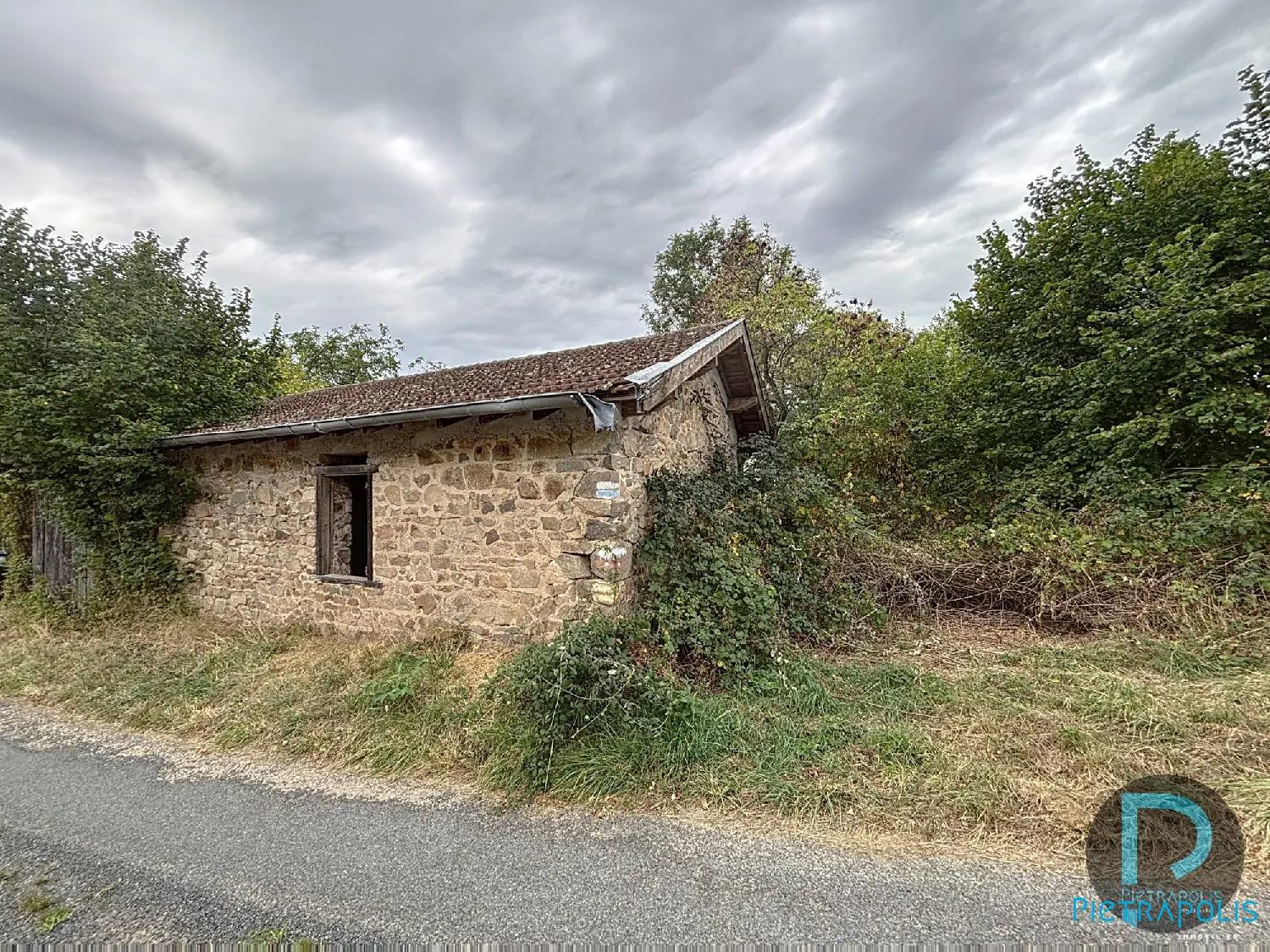  for sale terrain Thizy Rhône 6