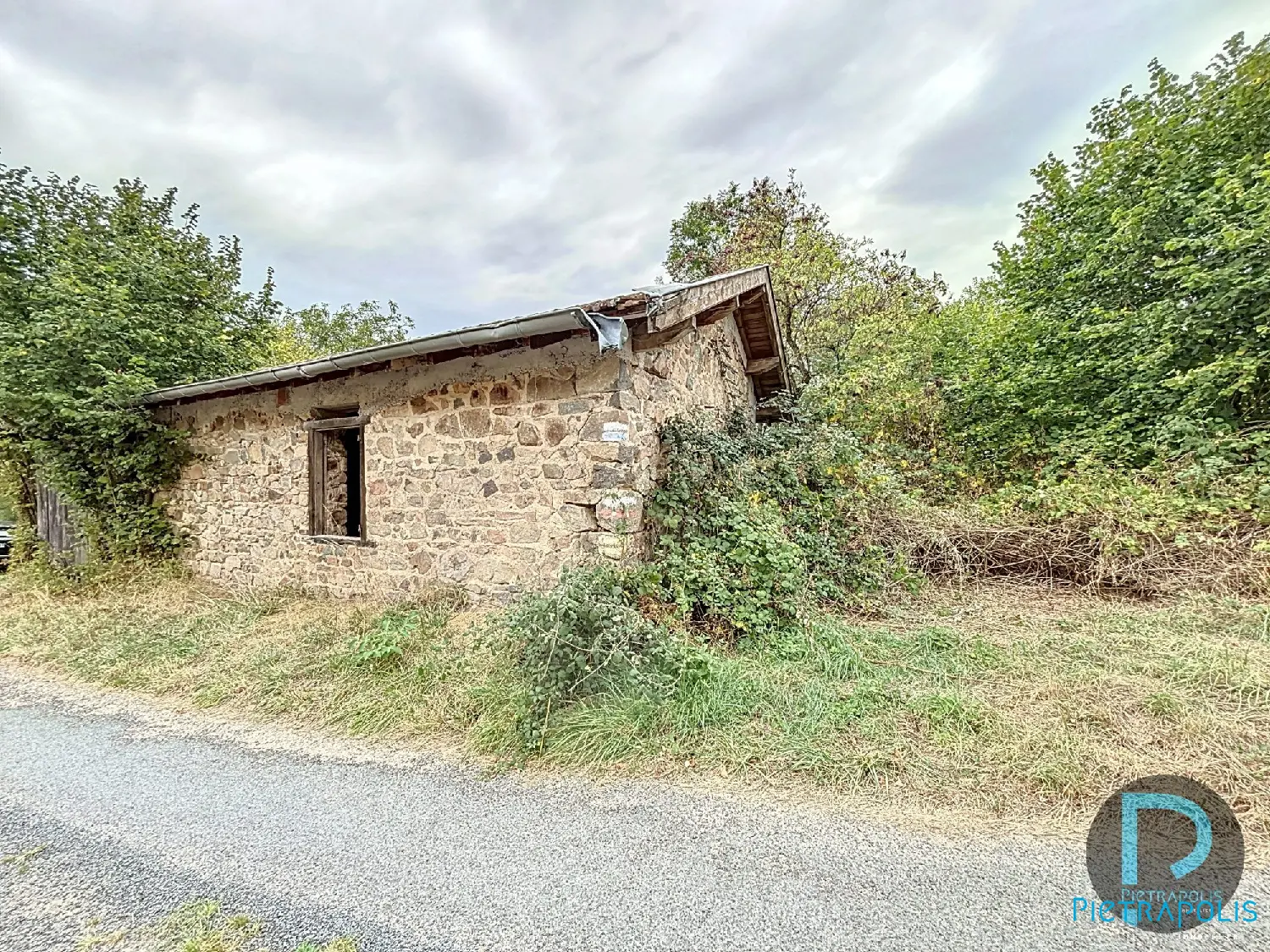  for sale terrain Thizy Rhône 7