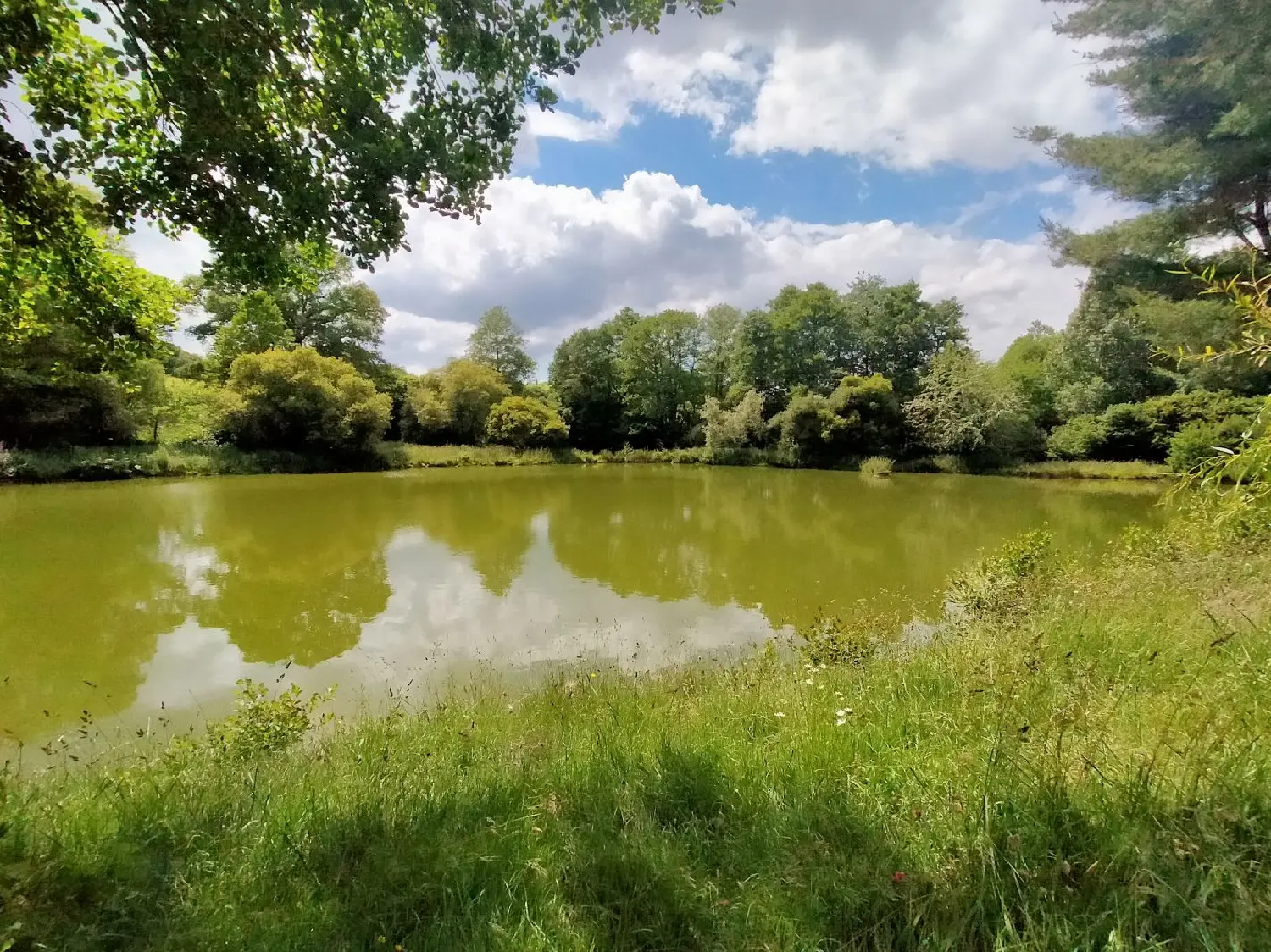  for sale terrain Trans Mayenne 1