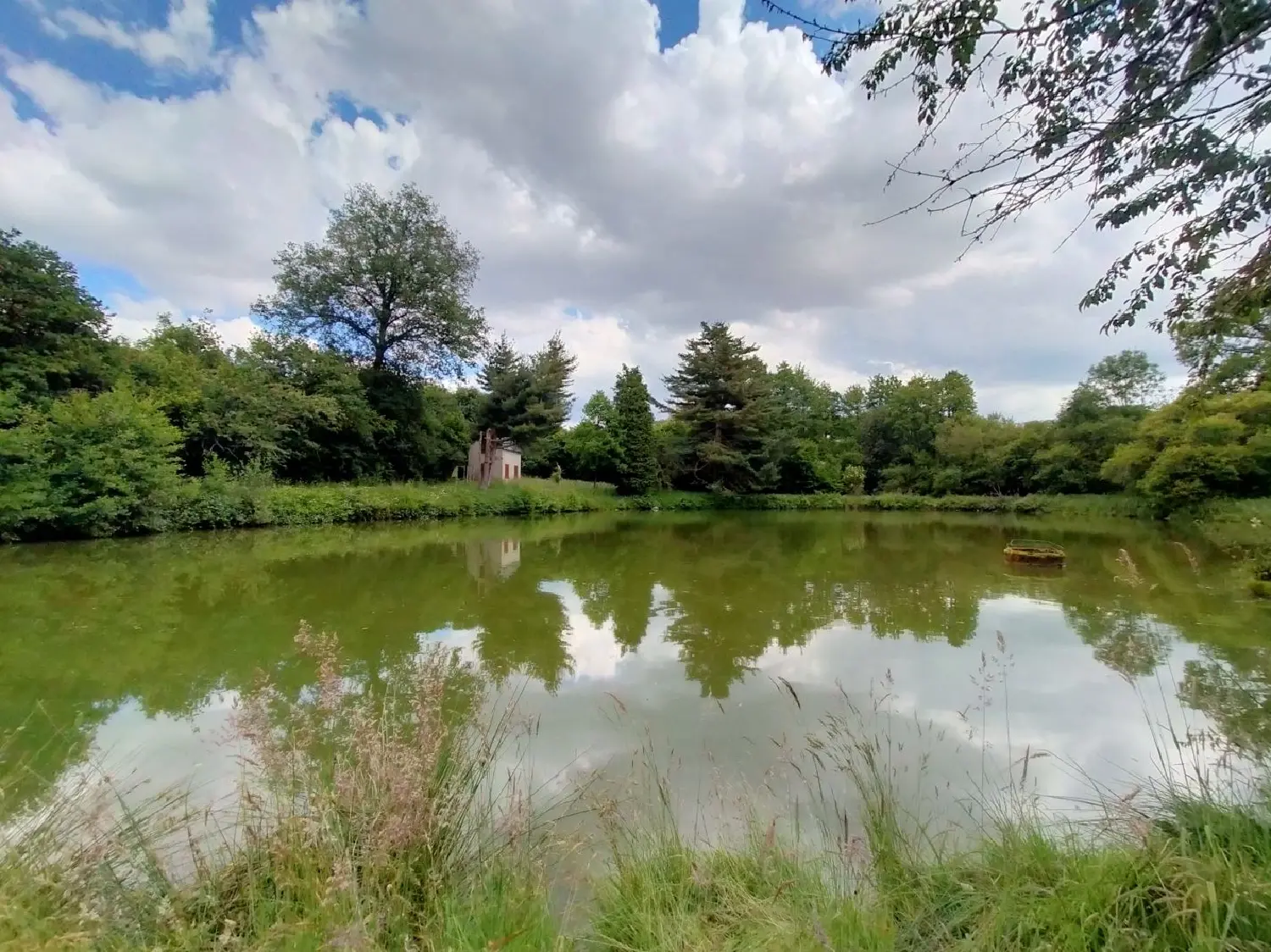  for sale terrain Trans Mayenne 5