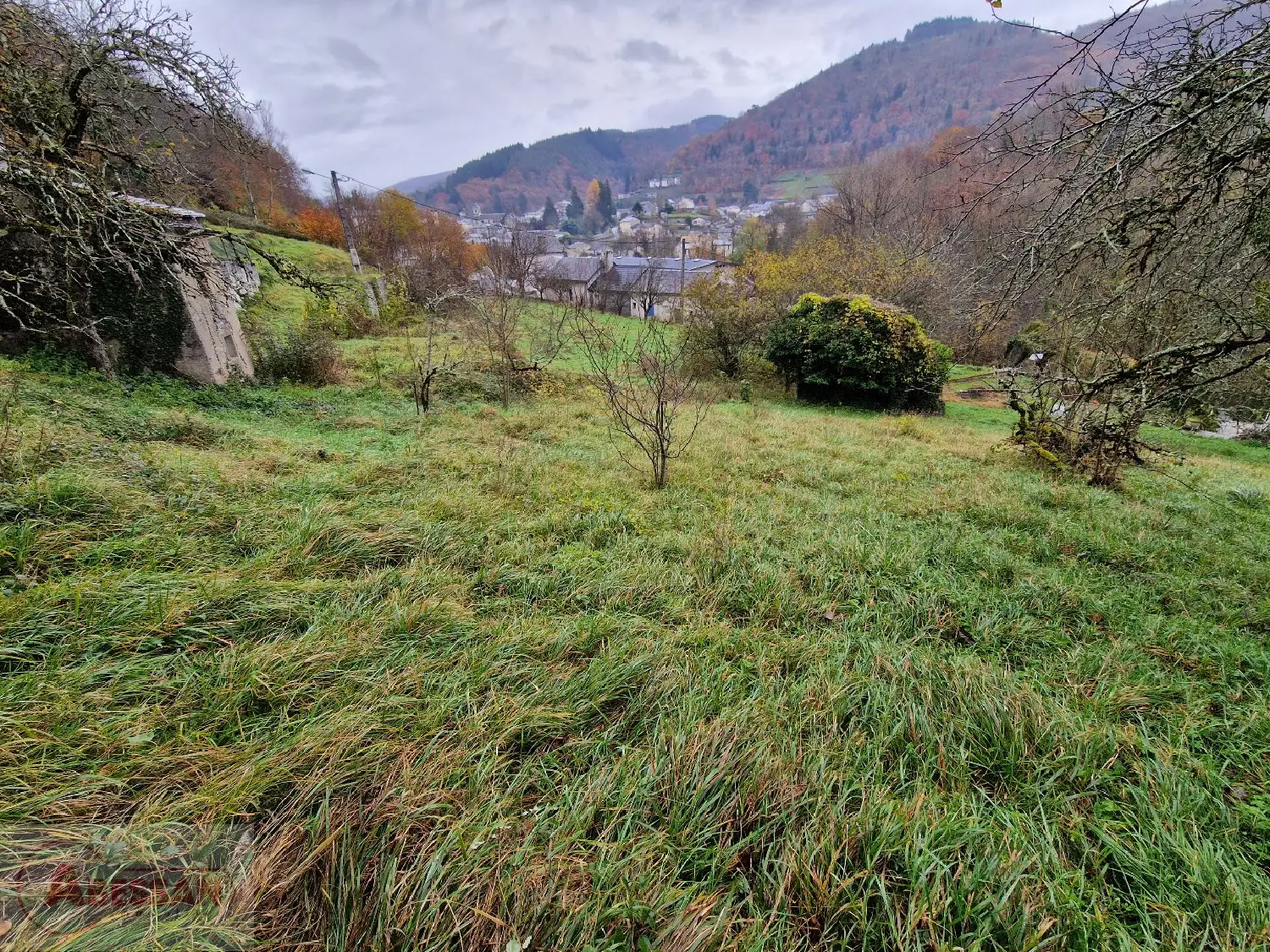  kaufen Grundstück Vabre Tarn 2