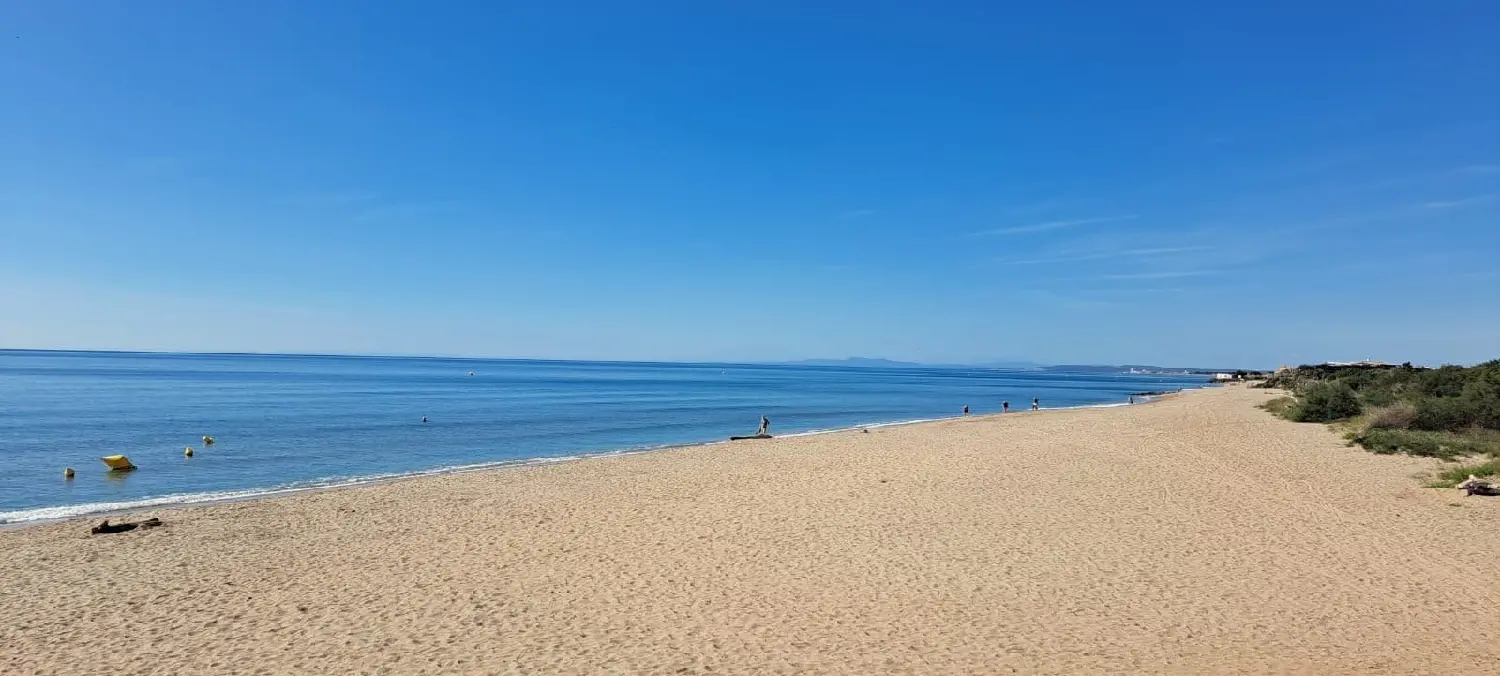  en venta terreno Vias Hérault 8