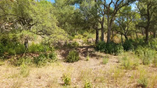 Vidauban Var terrain foto 7132885