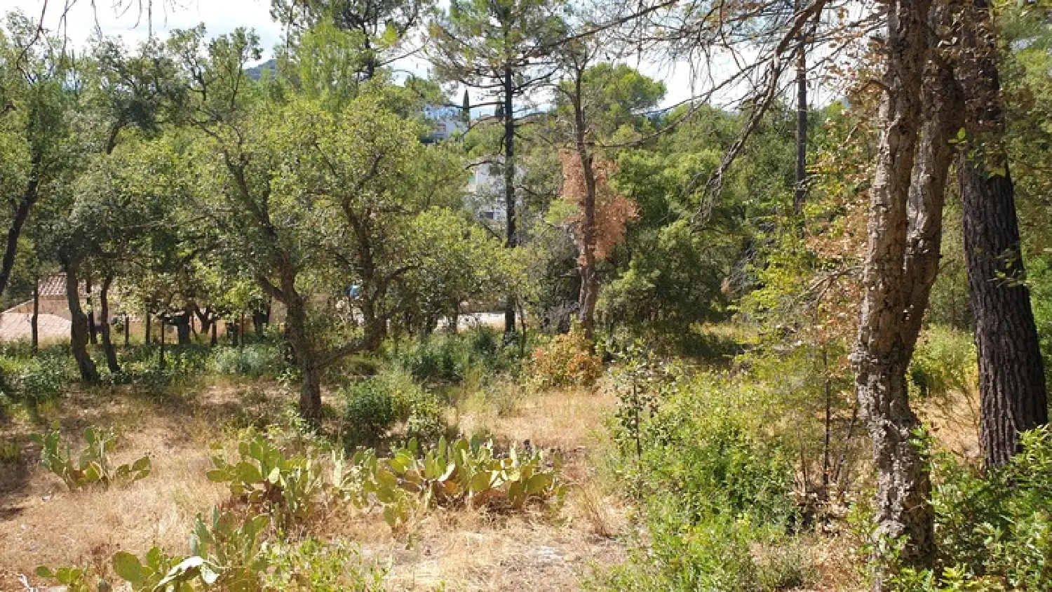  kaufen Grundstück Vidauban Var 2