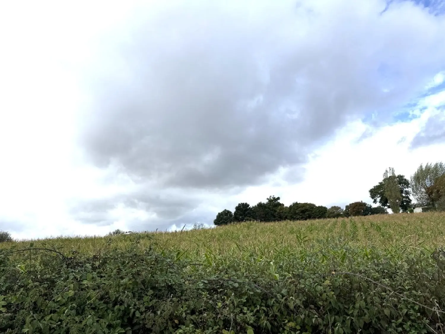  for sale terrain Villard Creuse 3