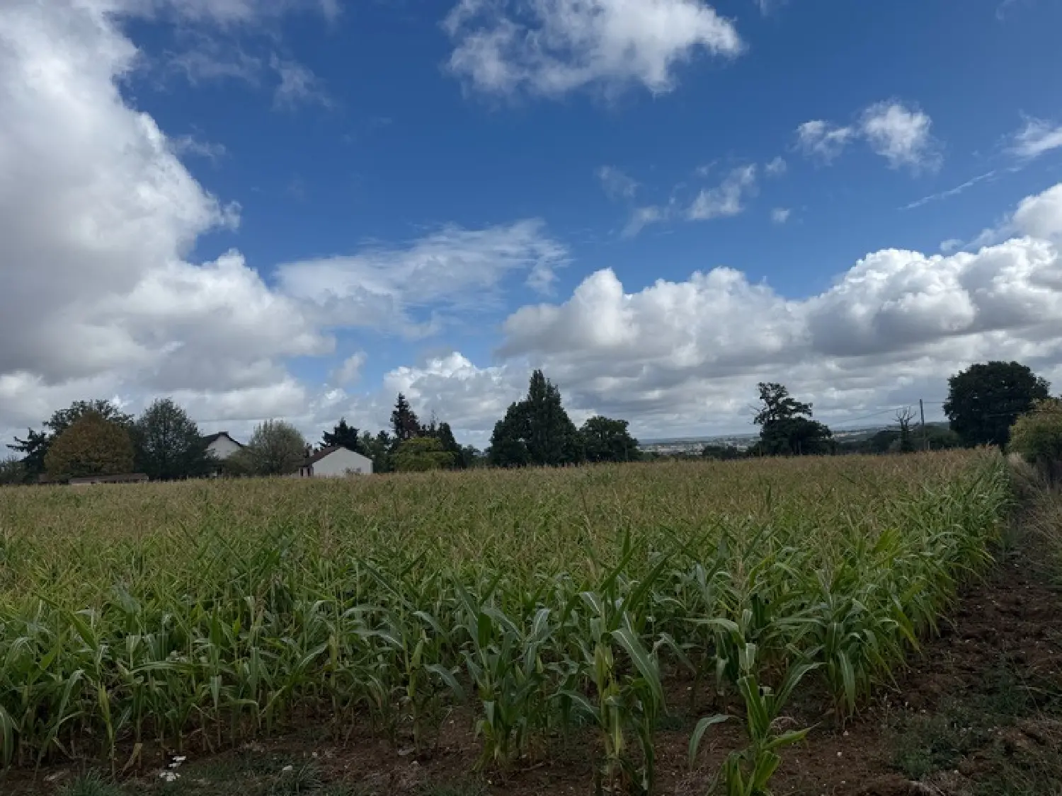  for sale terrain Villard Creuse 4