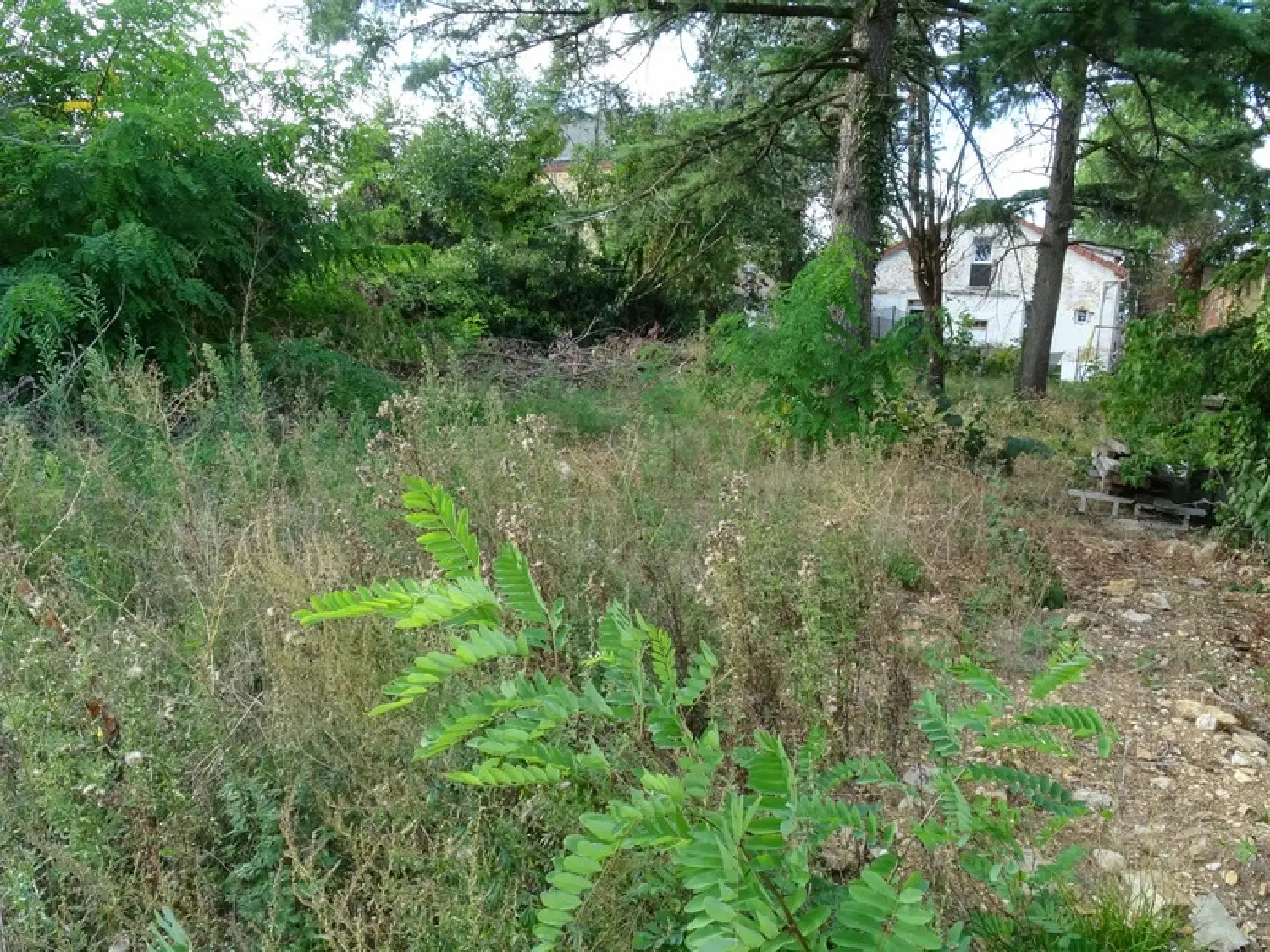  te koop terrein Villecresnes Val-de-Marne 3