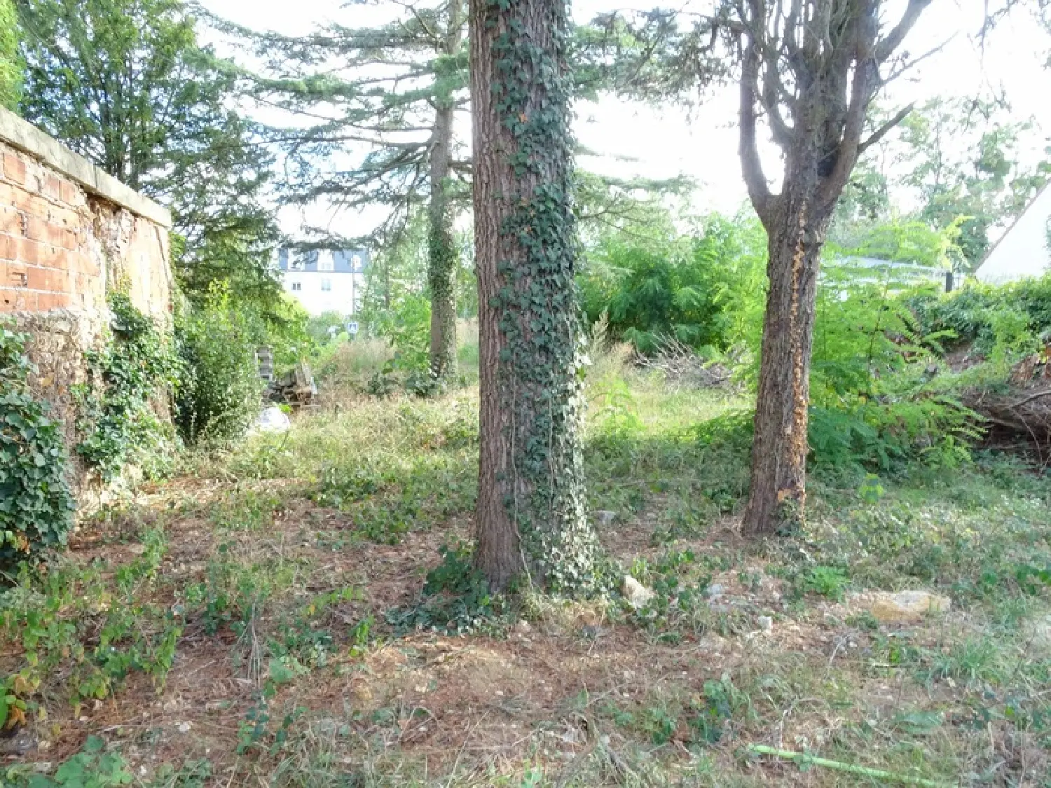  te koop terrein Villecresnes Val-de-Marne 4
