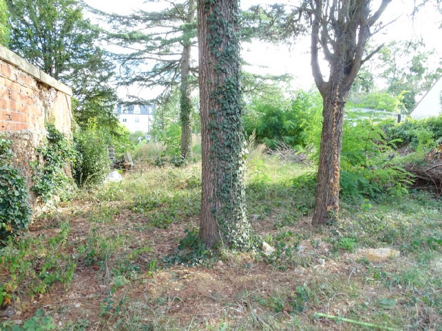  for sale terrain Villecresnes Val-de-Marne 4