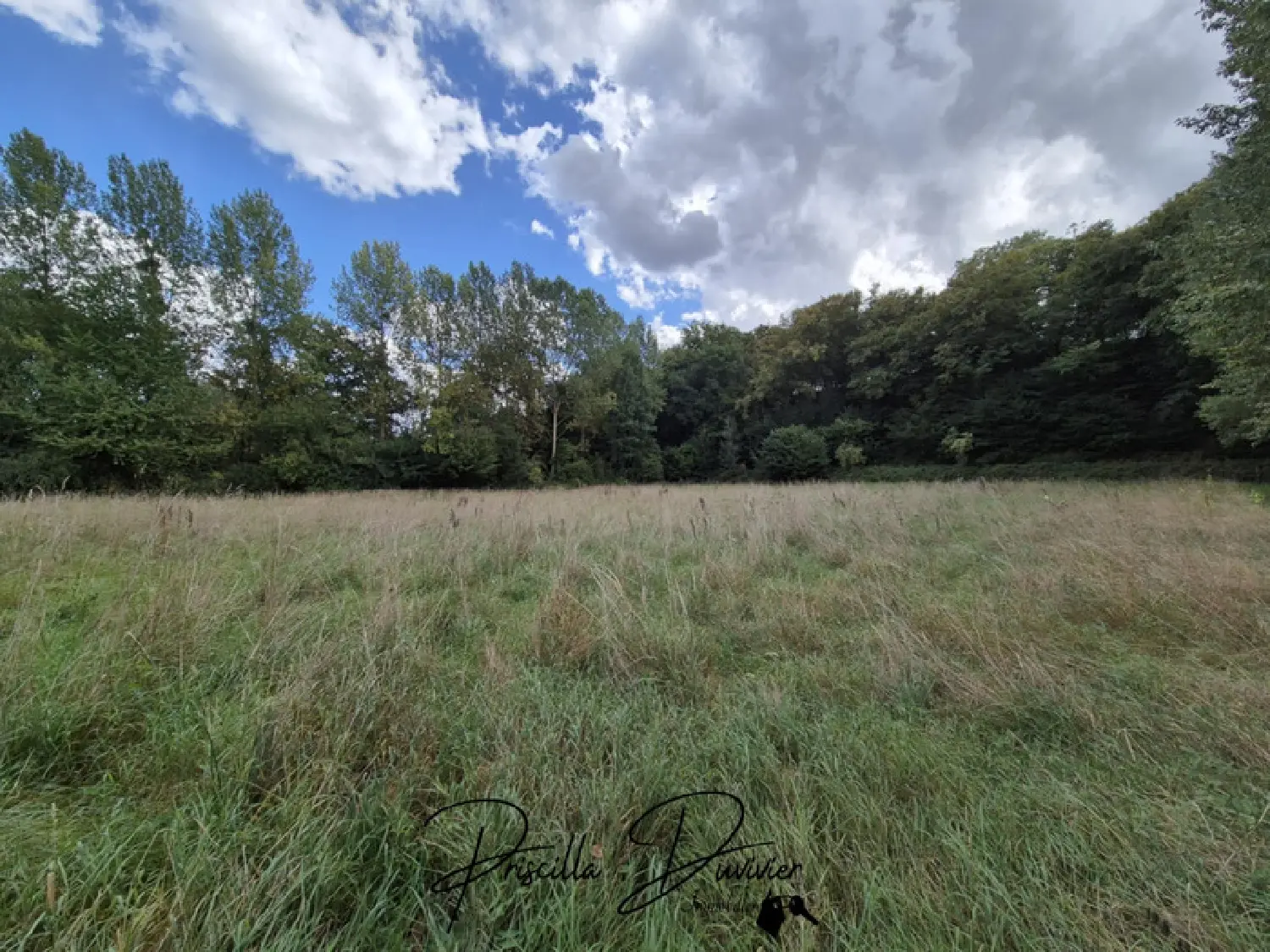  te koop terrein Villers-Saint-Sépulcre Oise 2