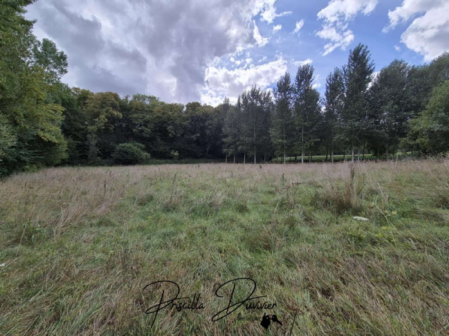  te koop terrein Villers-Saint-Sépulcre Oise 3