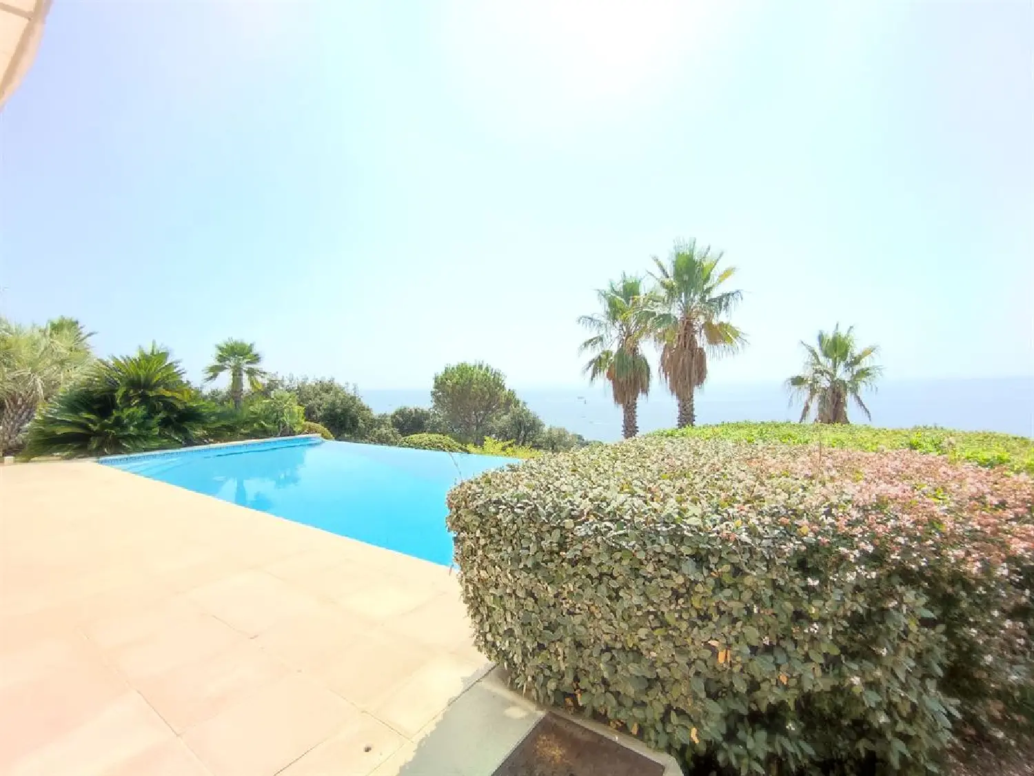 en venta villa Anthéor Var 5