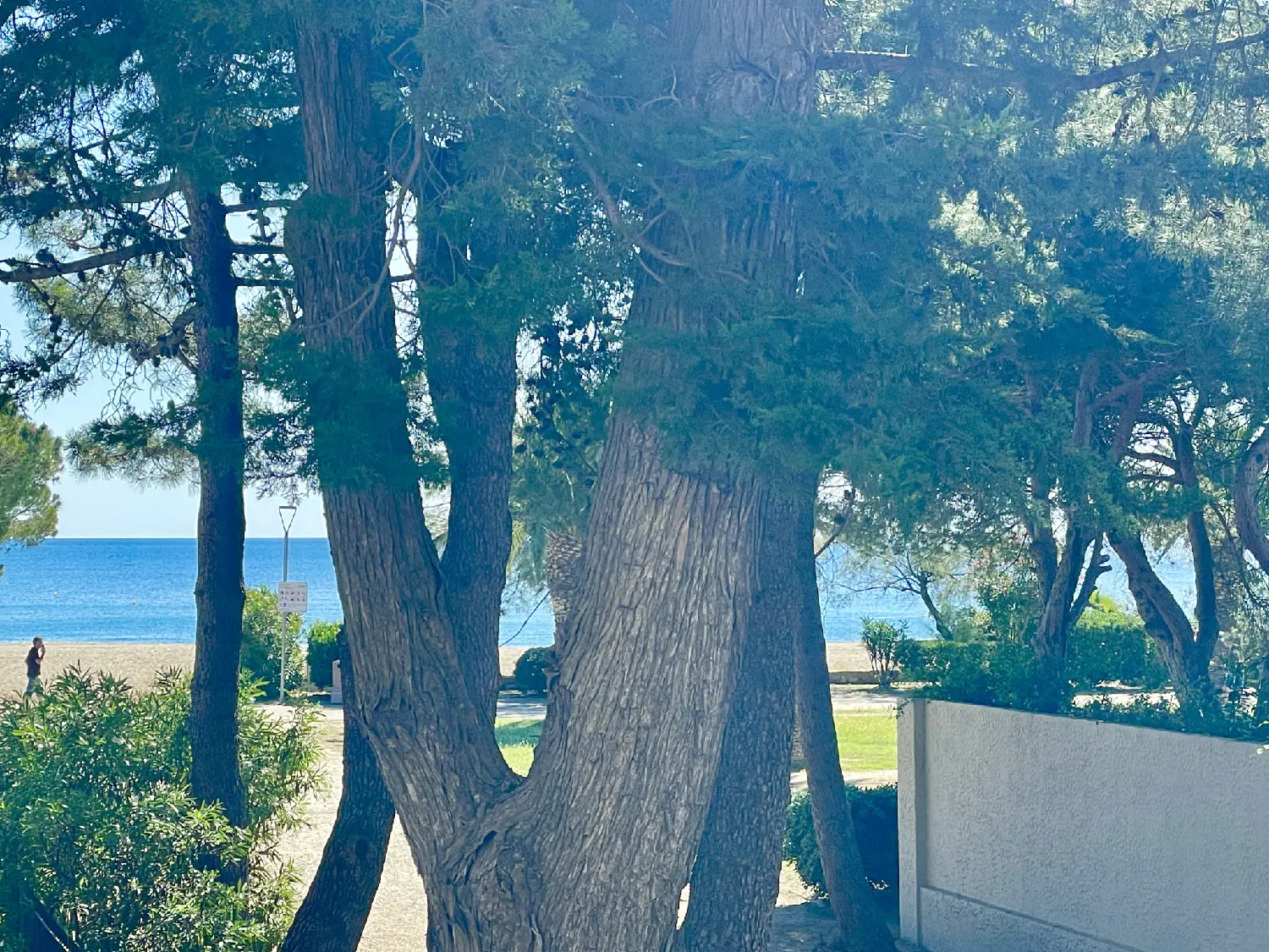  te koop villa Argelès-sur-Mer Pyrénées-Orientales 3