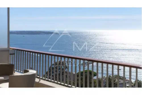 Cannes Alpes-Maritimes appartement foto 7132970