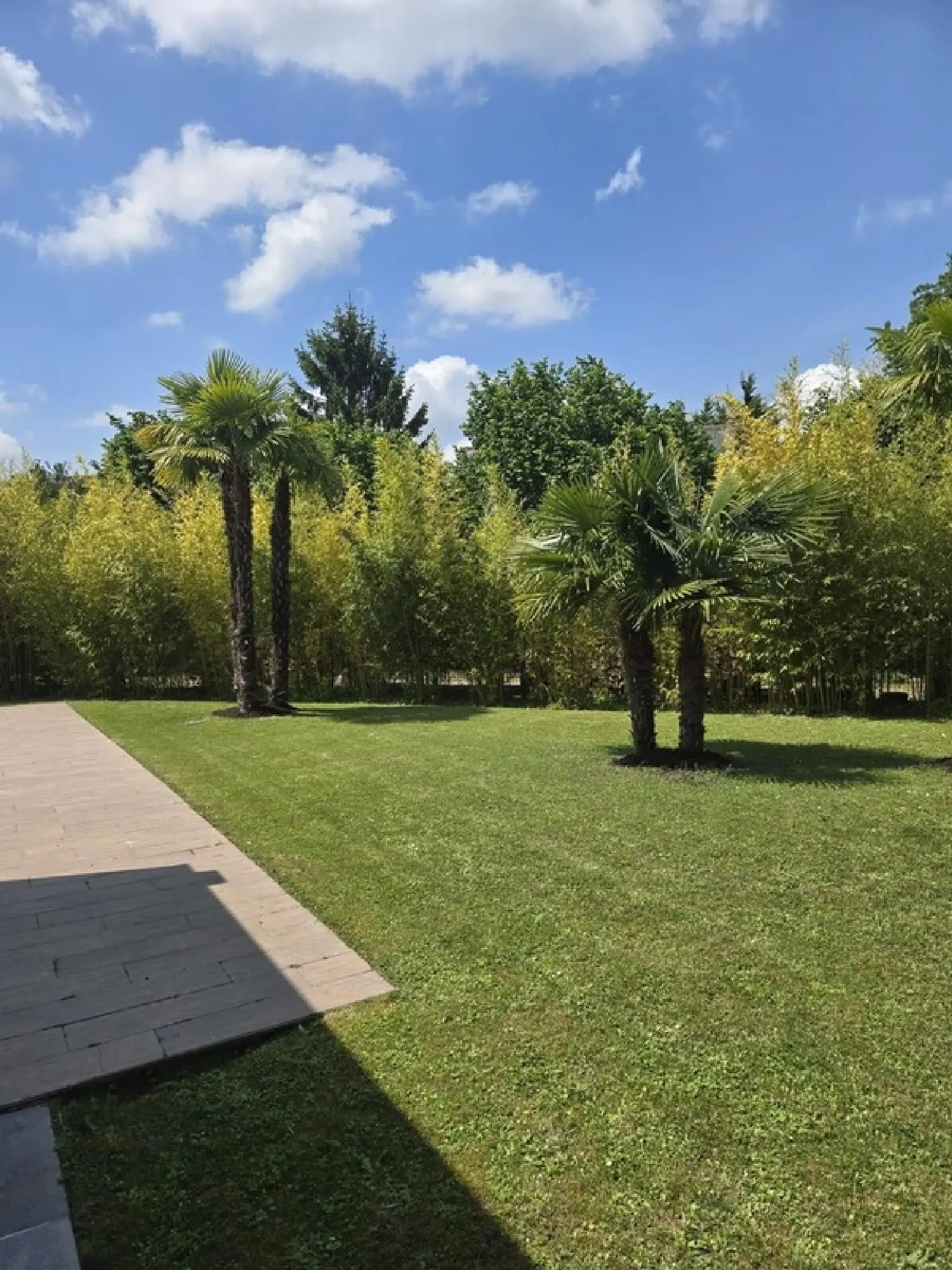  kaufen Villa Joué-lés-Tours Indre-et-Loire 7