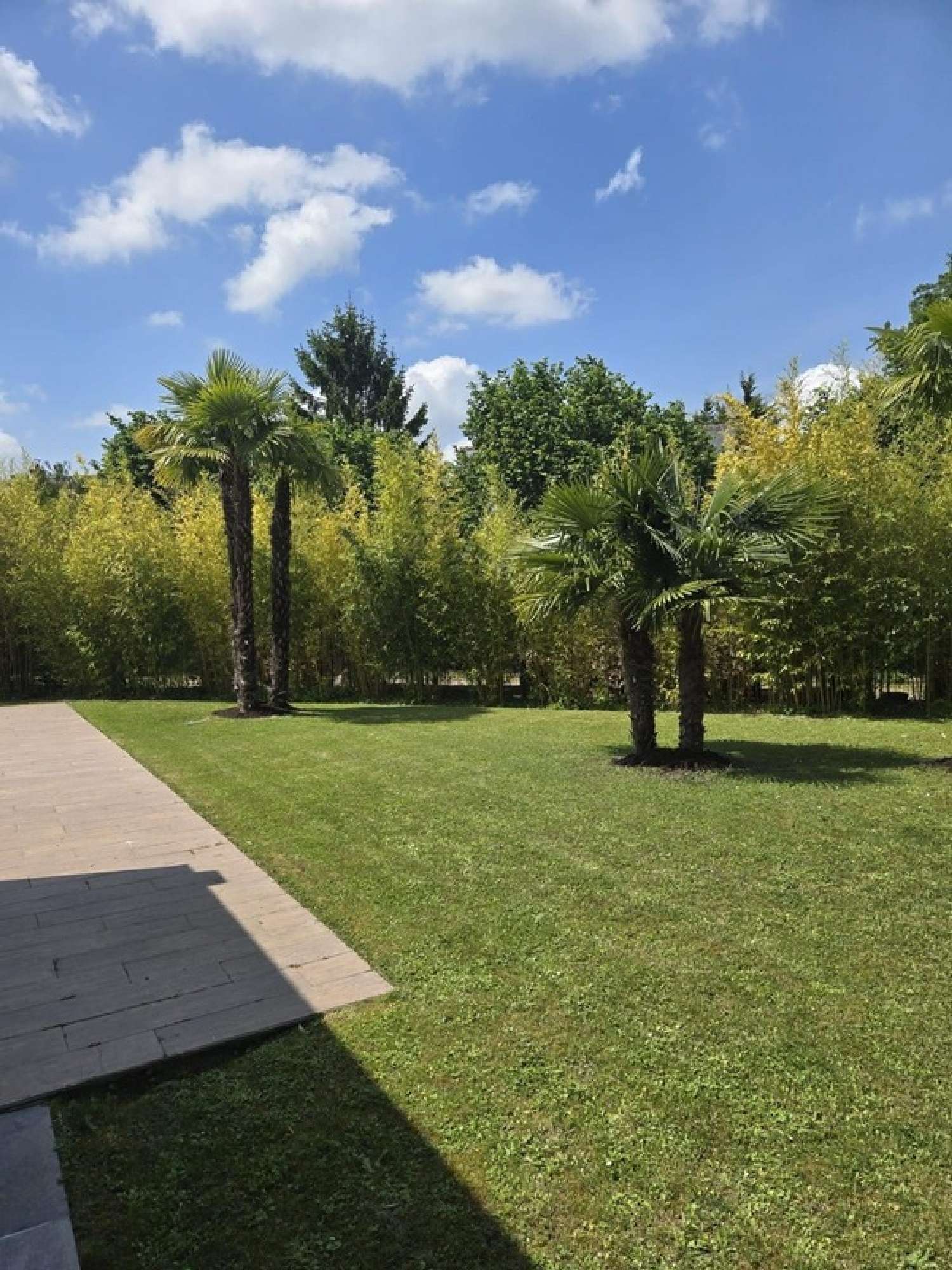  te koop villa Joué-lés-Tours Indre-et-Loire 7