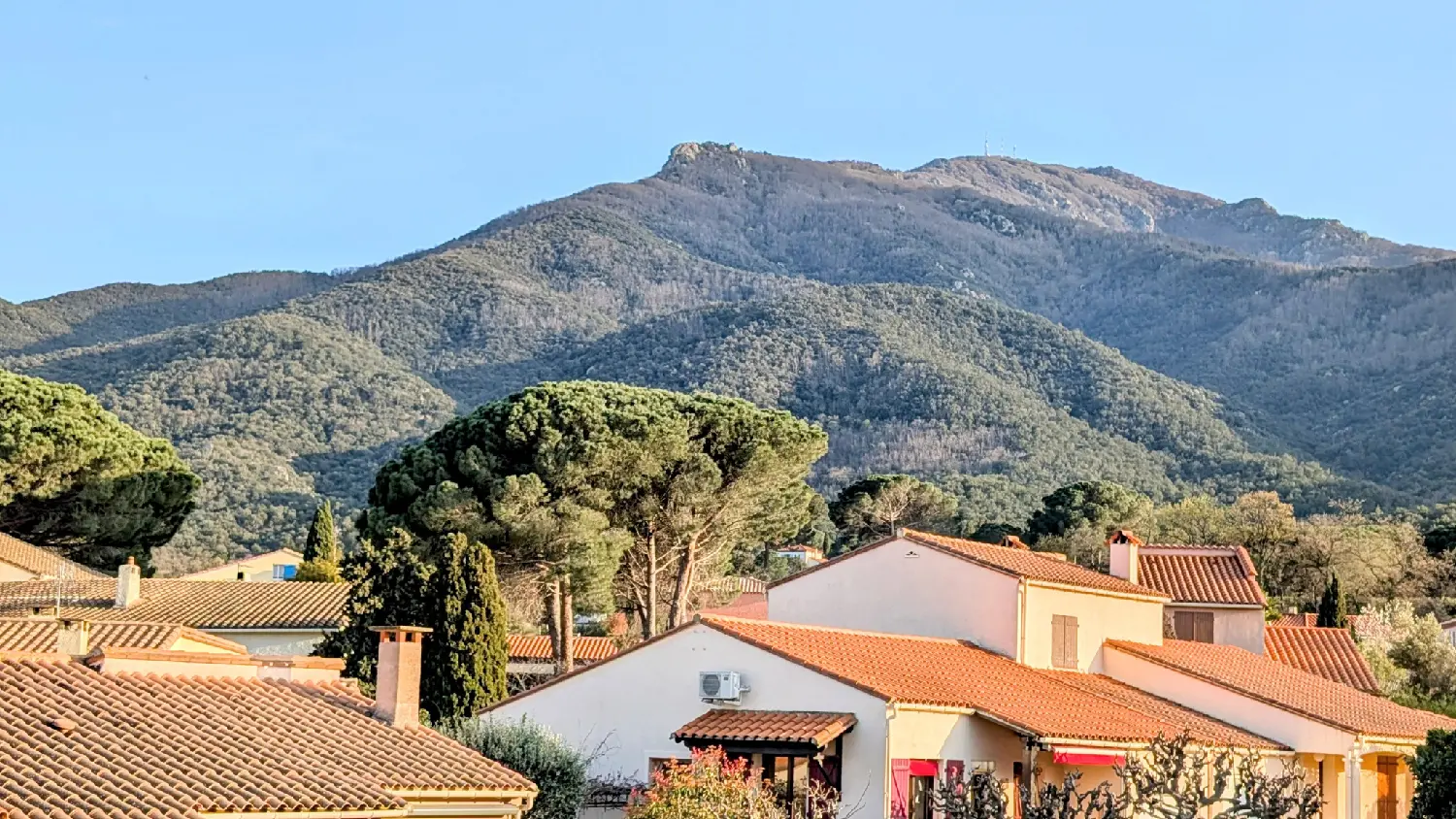  for sale villa Laroque-des-Albères Pyrénées-Orientales 4
