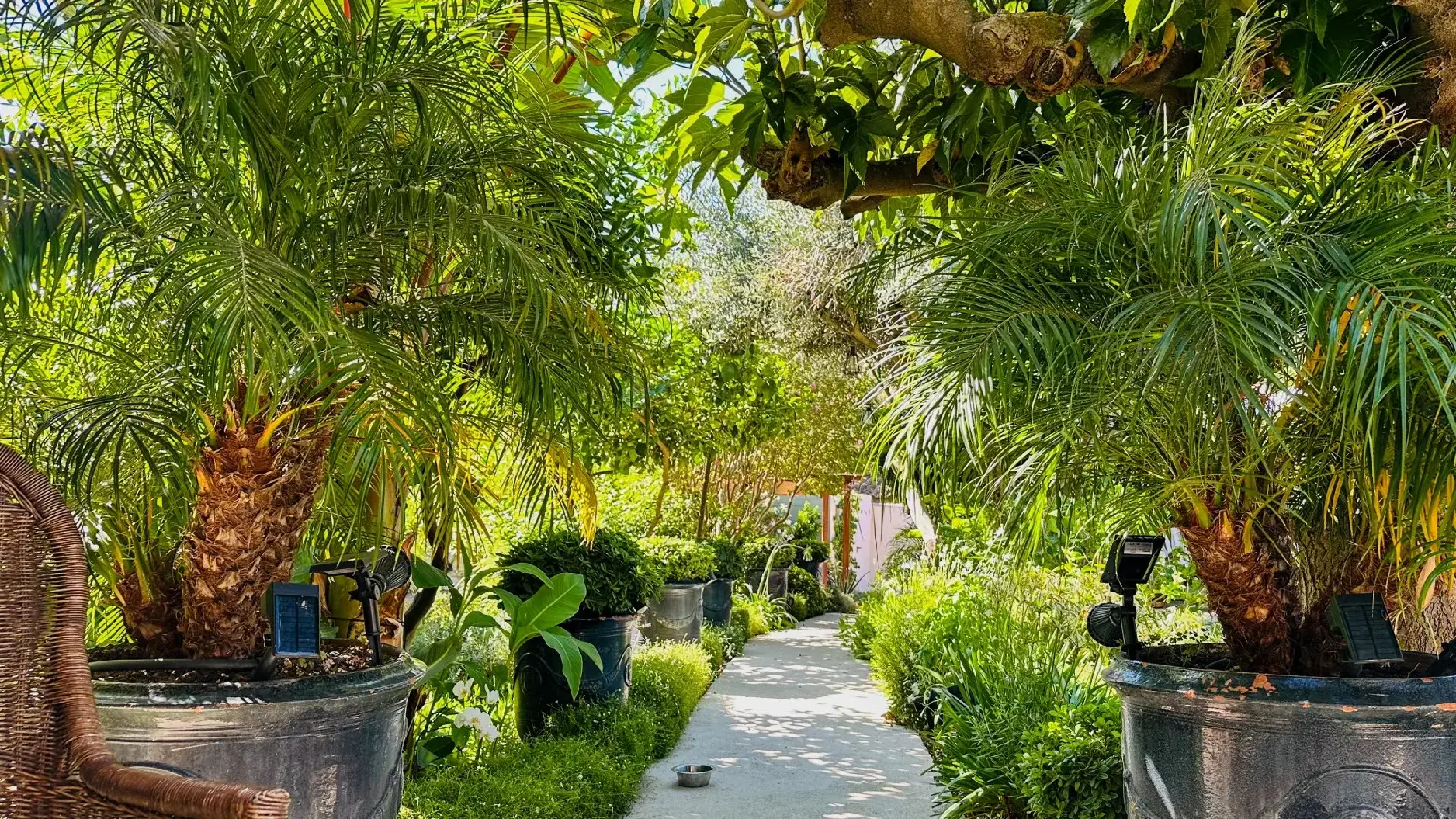  te koop villa Le Lavandou Var 3