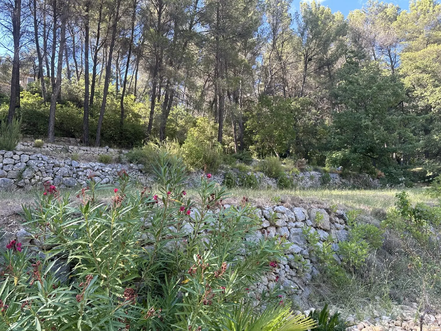  te koop villa Le Vibal Aveyron 5