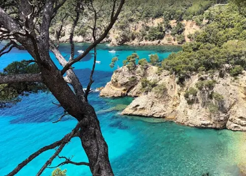 Saint-Cyr-sur-Mer Var villa foto 7130392