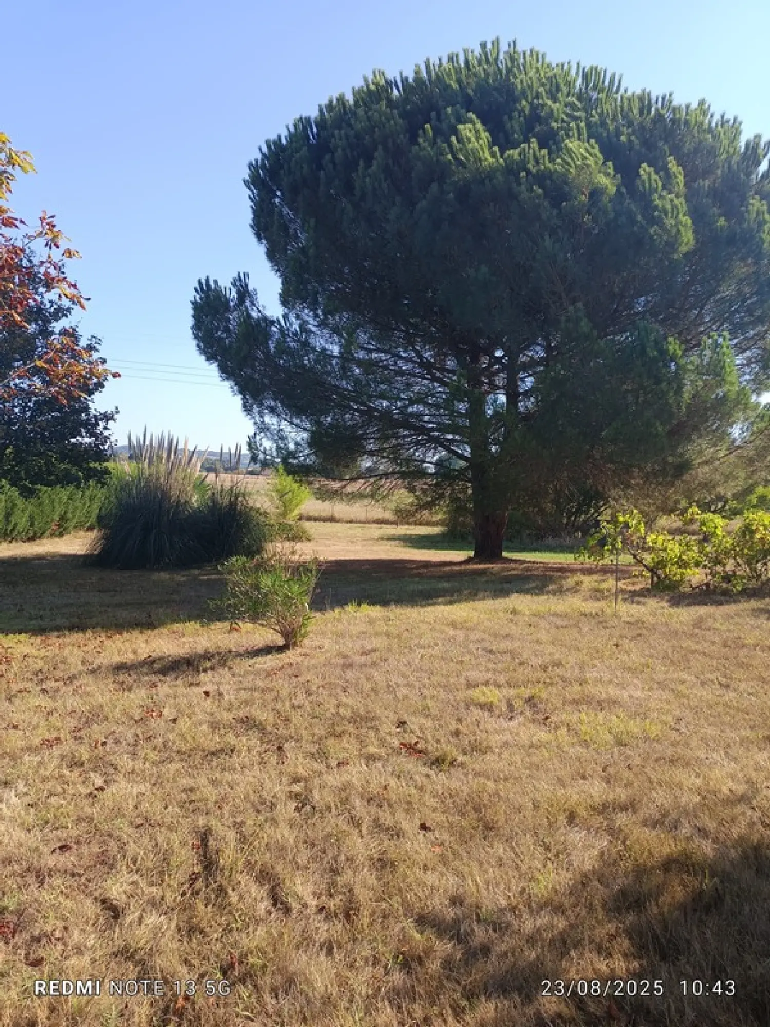 kaufen Villa Saint-Pierre-de-Clairac Lot-et-Garonne 3