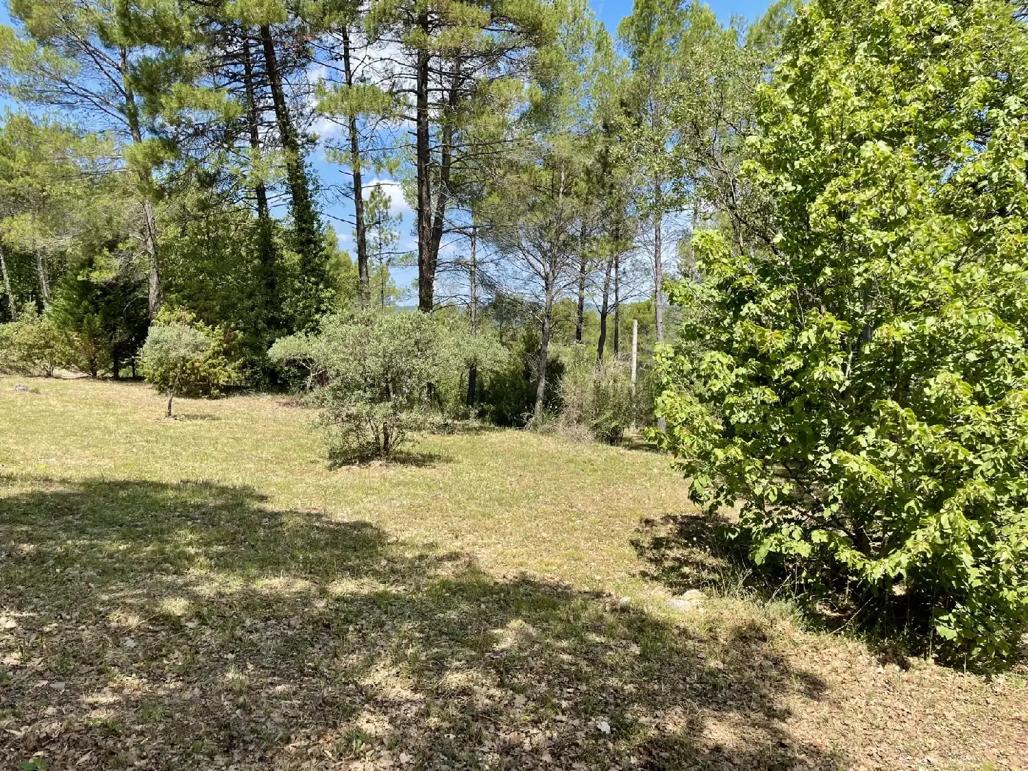  te koop villa Salernes Var 6