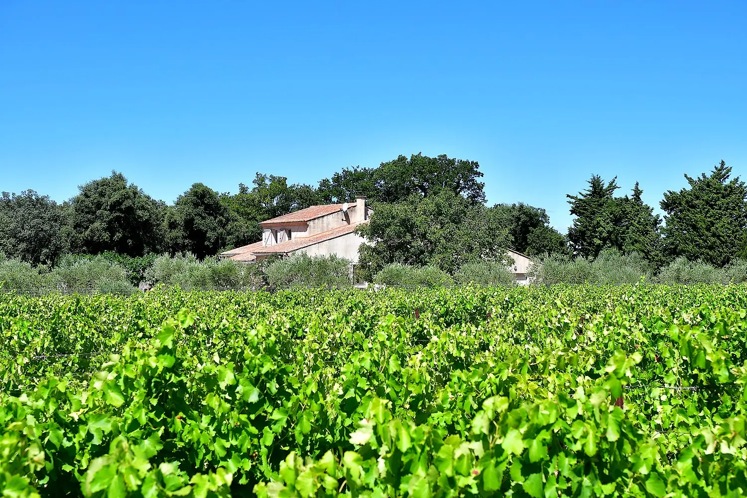  à vendre villa Sarrians Vaucluse 2