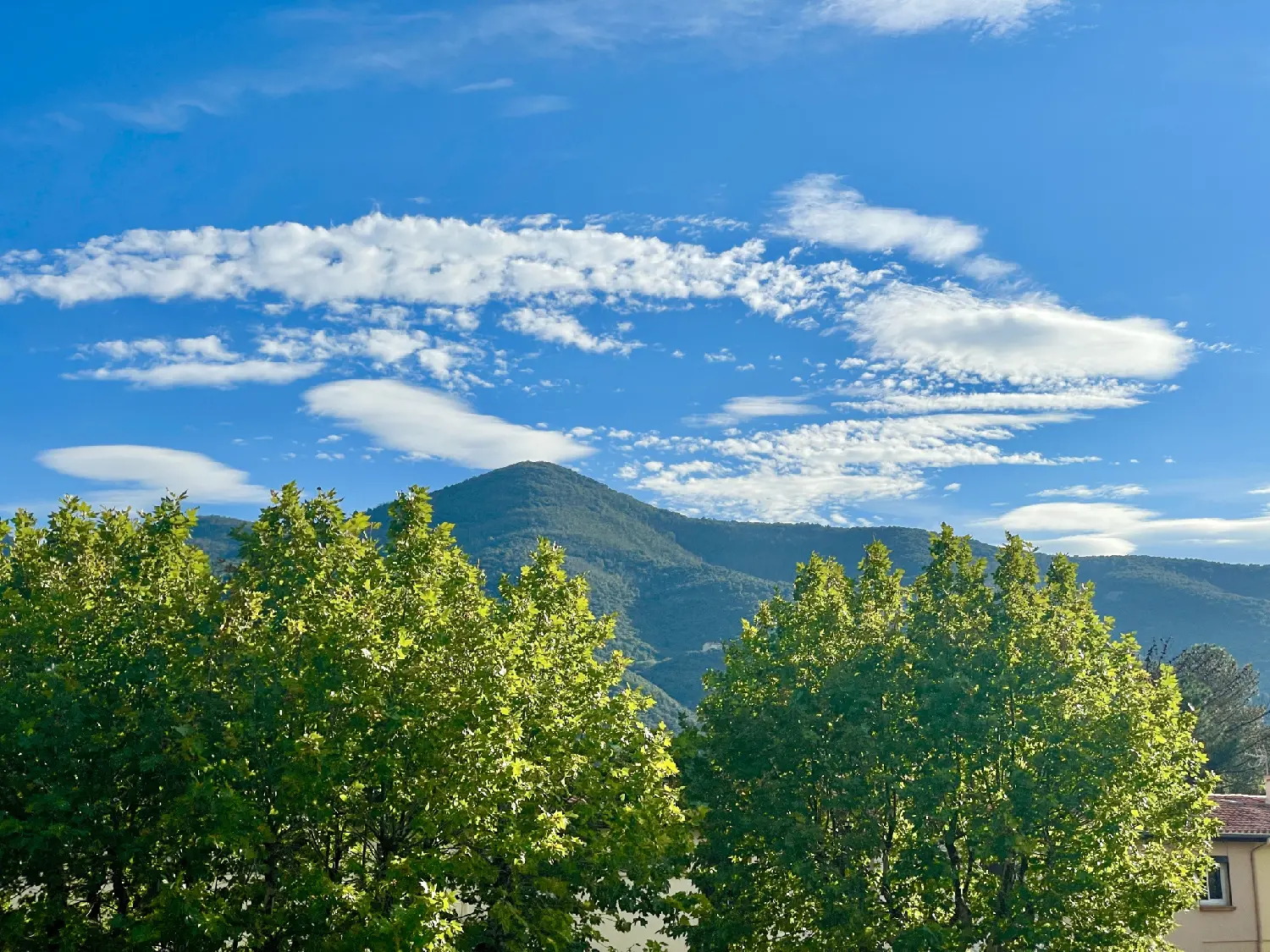  te koop dorpshuis Céret Pyrénées-Orientales 4