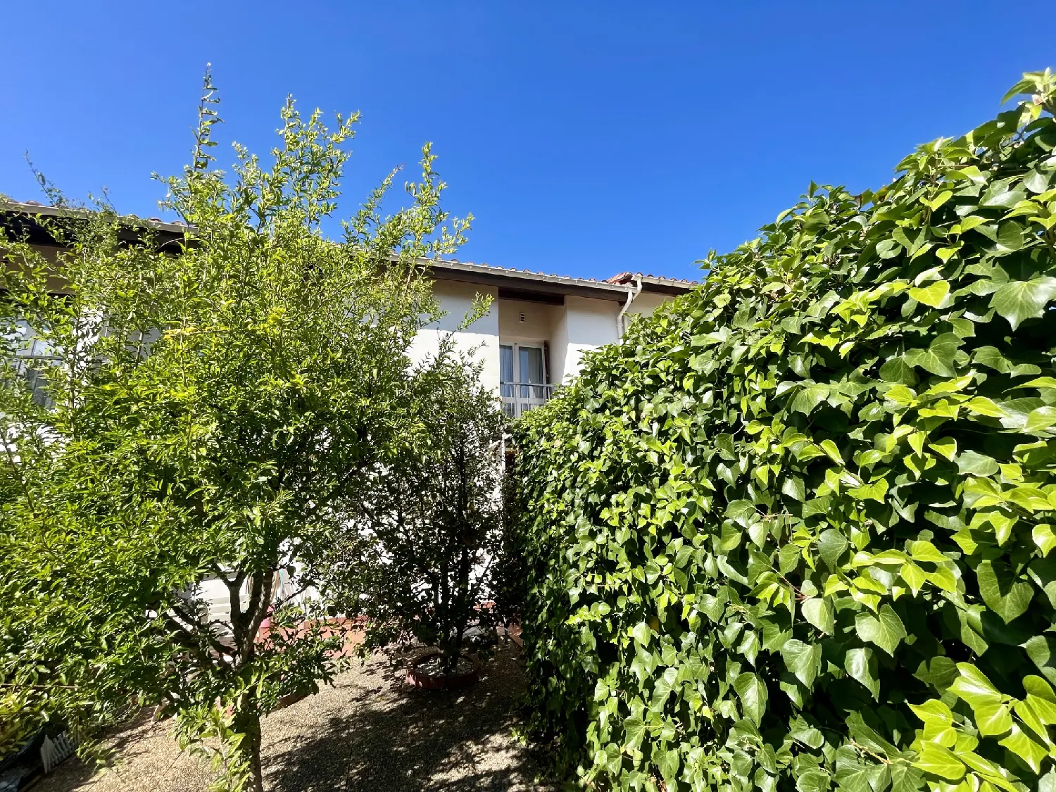  te koop dorpshuis Céret Pyrénées-Orientales 8