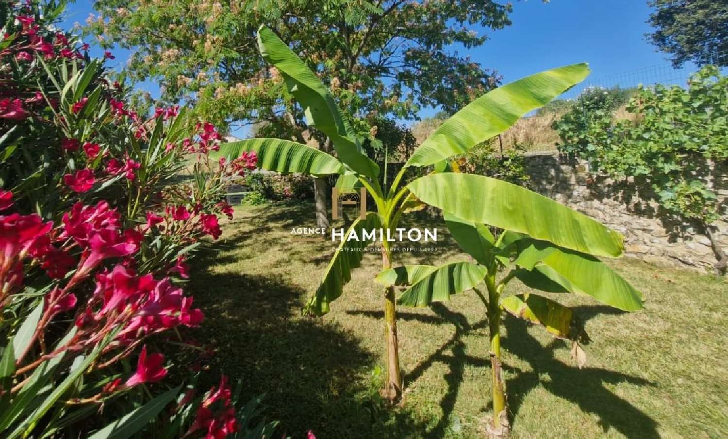  en venta casa de pueblo Tonnac Tarn 5