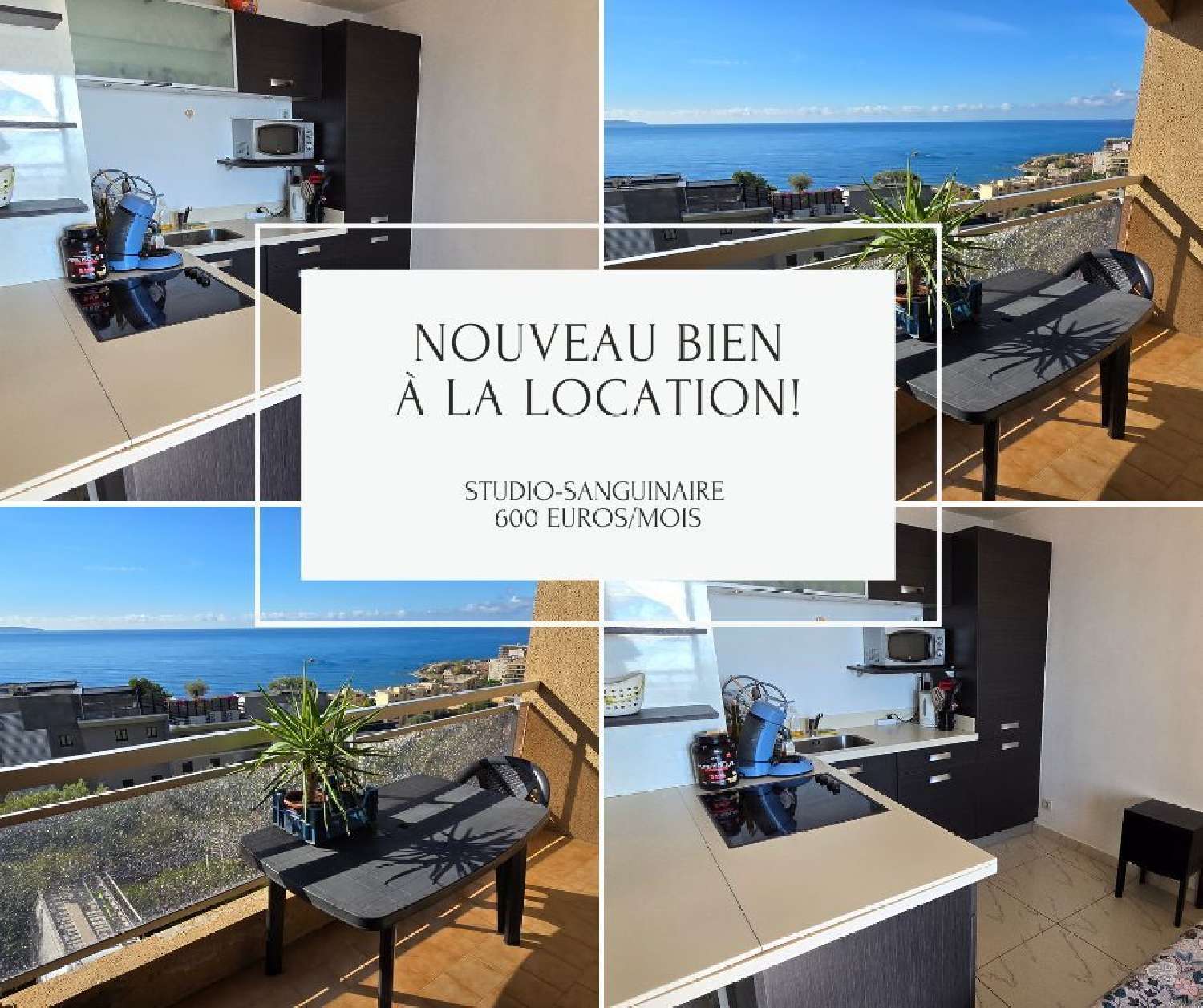 te koop appartement Ajaccio Corse-du-Sud 1
