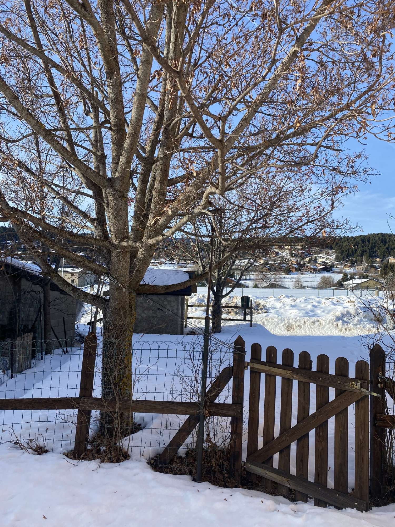  te koop appartement Bolquère Pyrénées-Orientales 1