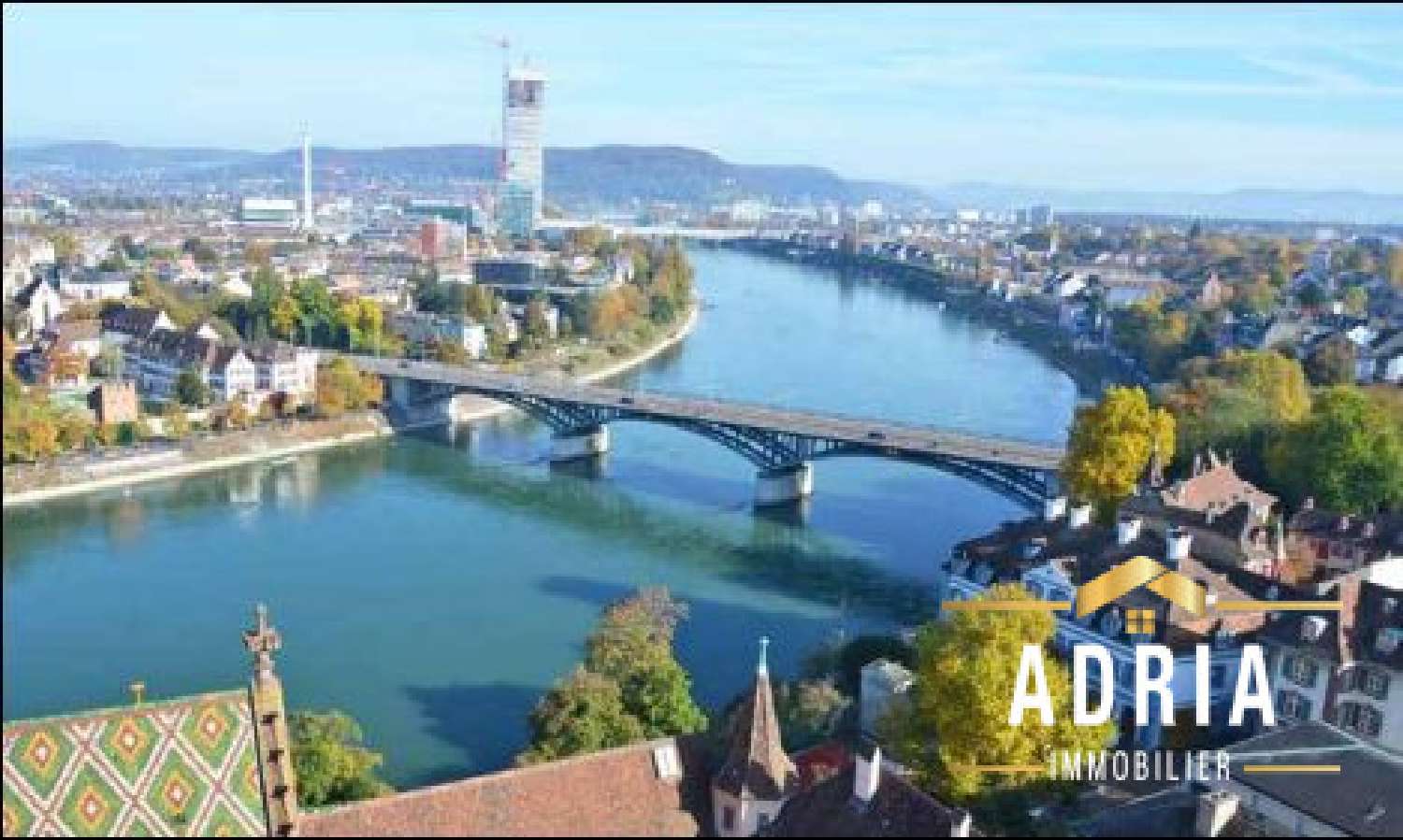  te koop appartement Bourgfelden Haut-Rhin 6