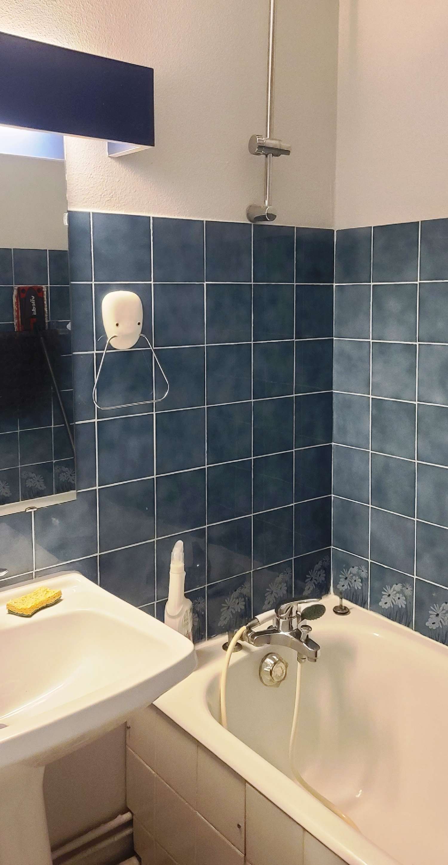  te koop appartement Carnon-Plage Hérault 6