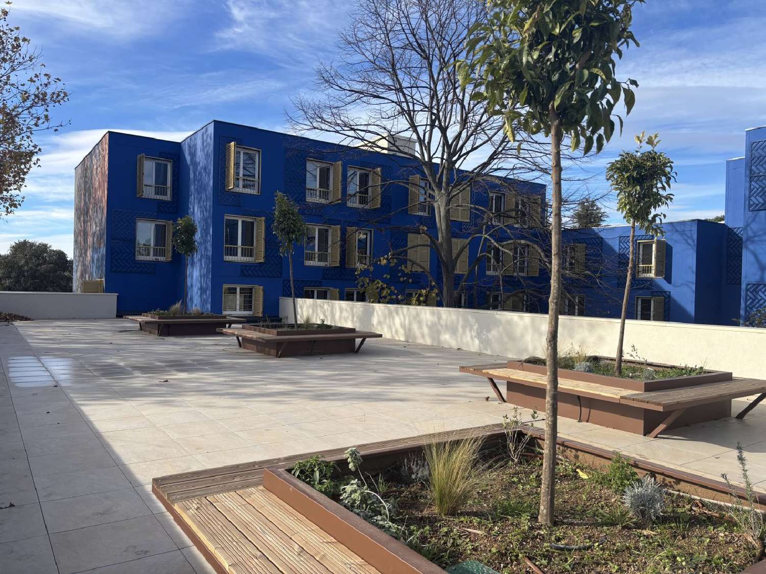  for sale apartment Castelnau-le-Lez Hérault 1