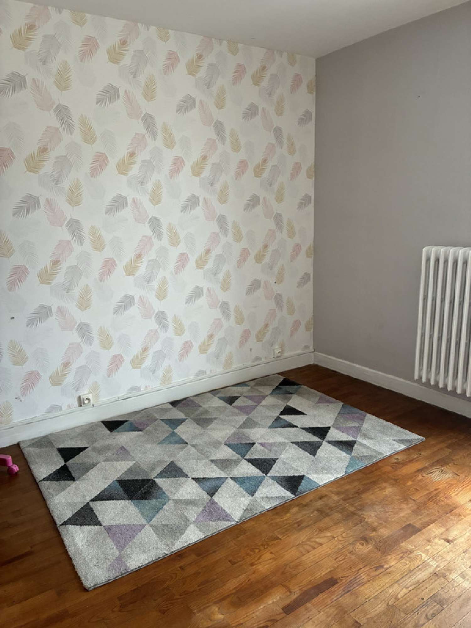 te koop appartement Clermont-Ferrand 63100 Puy-de-Dôme 7