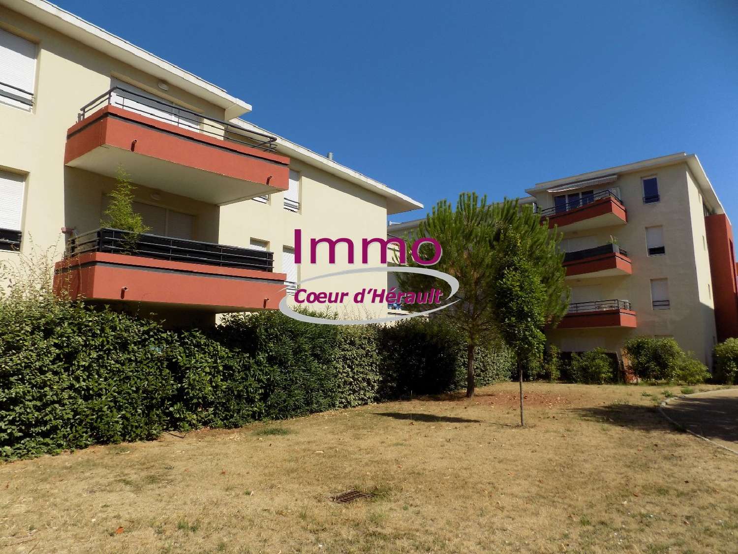 te koop appartement Clermont-l'Hérault Hérault 3