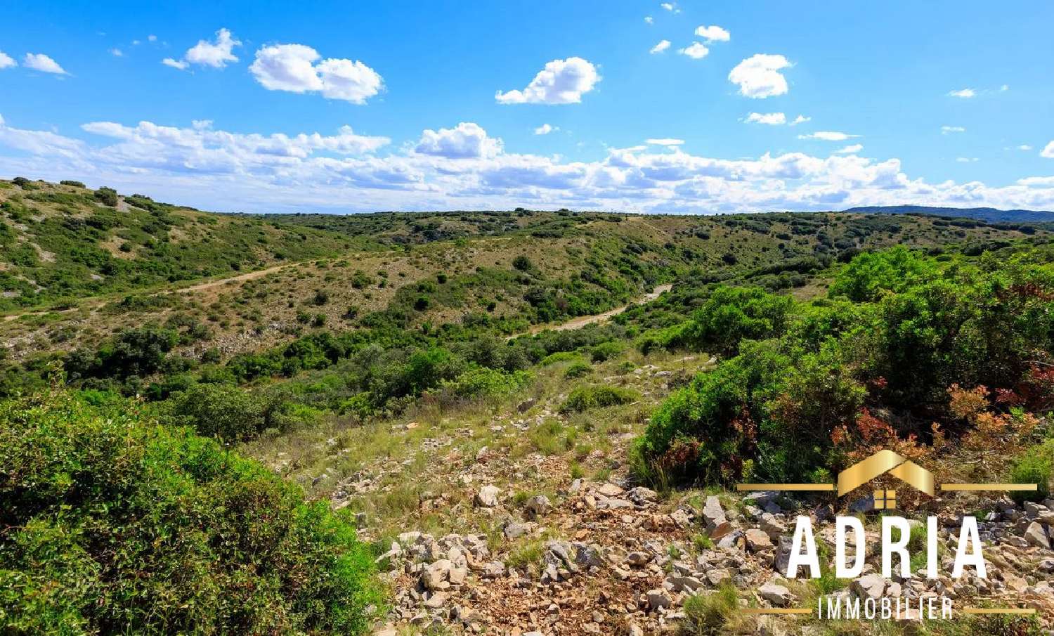 kaufen Wohnung/ Apartment Cournonterral Hérault 7