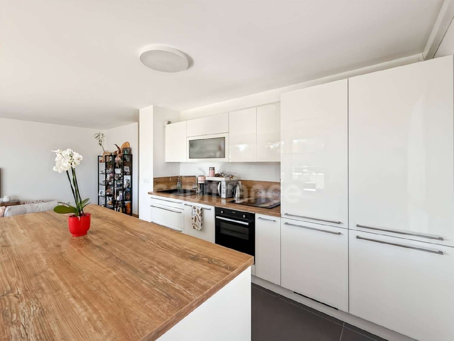  à vendre appartement Ferney-Voltaire Ain 4